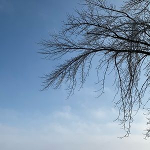 Meet your Posher, Eli